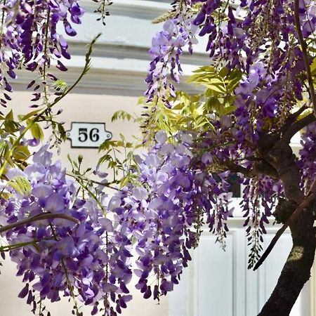 Bed and Breakfast Wisteria Fontainebleau Exteriér fotografie