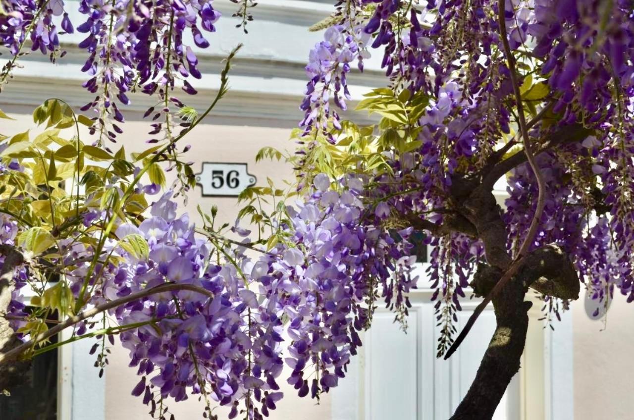 Bed and Breakfast Wisteria Fontainebleau Exteriér fotografie
