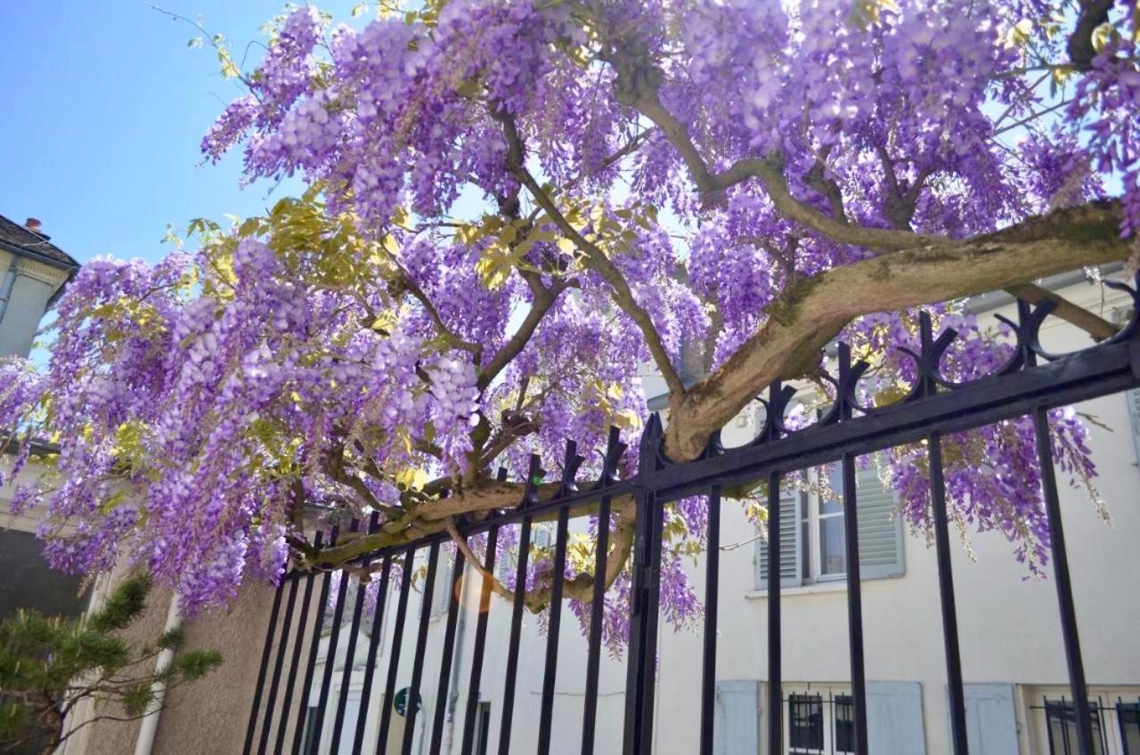 Bed and Breakfast Wisteria Fontainebleau Exteriér fotografie